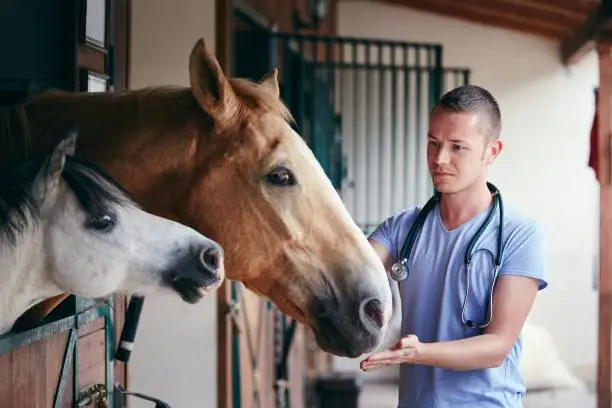 horse meds without prescription